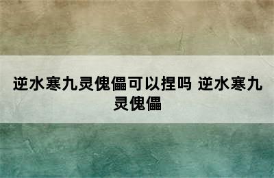 逆水寒九灵傀儡可以捏吗 逆水寒九灵傀儡